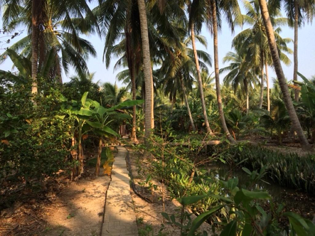 Charming Countryside Homestay Ben Tre Exterior foto